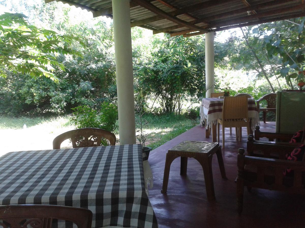 Family Nest Accommodatie bij particulieren *