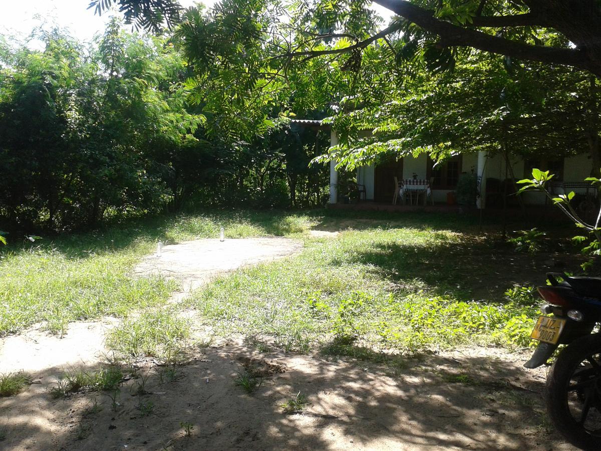 Family Nest Accommodatie bij particulieren Dambulla